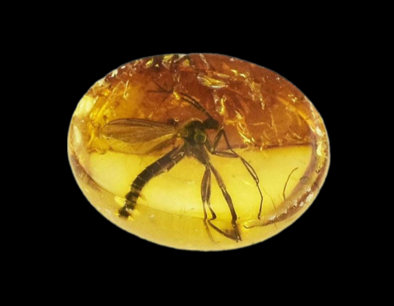 Amber